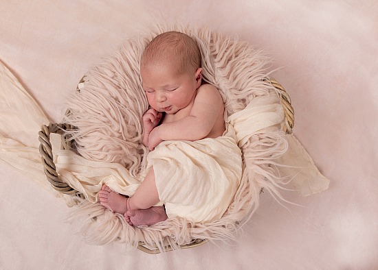 @ Home - Newborn Photography 