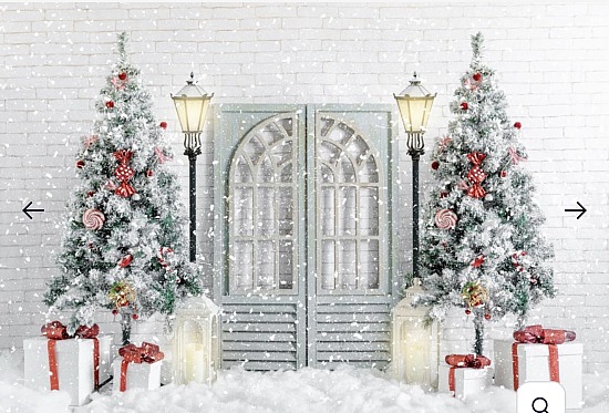 CHRISTMAS MINI SESSION 2025 (backdrop#1 - £150.00 option)