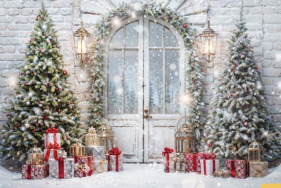 CHRISTMAS MINI SESSION 2025 (backdrop#2 - £150.00 option)